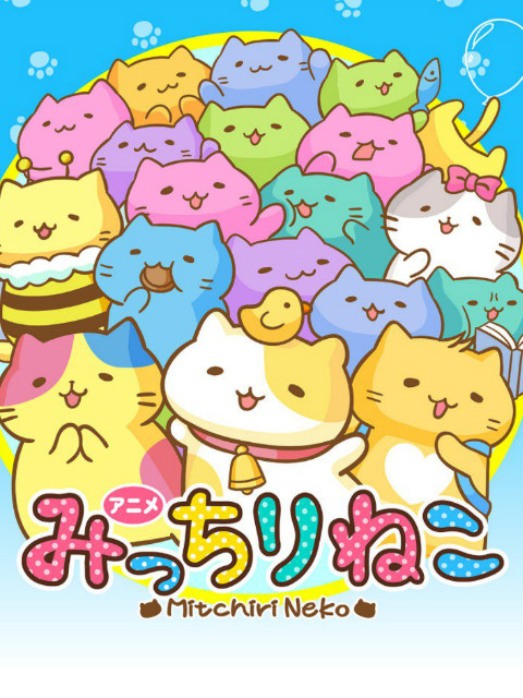 萌猫向前冲
